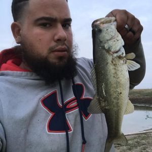 Meet your Posher, Edwin